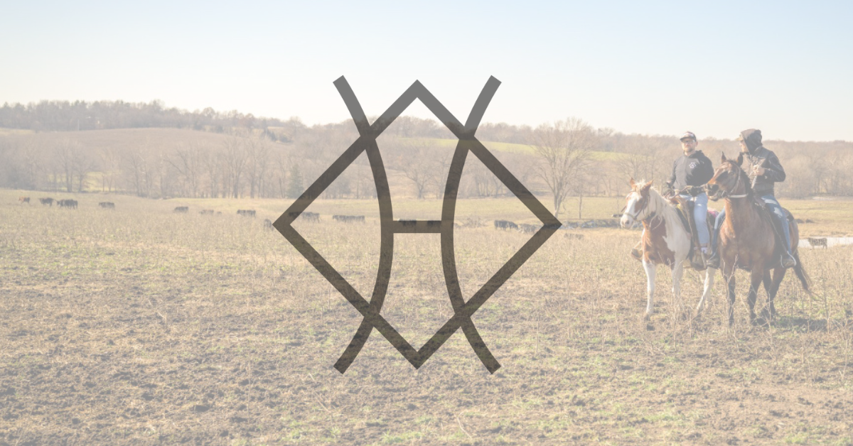 Understanding Meat Cuts: A Beginner’s Guide | Diamond H Ranch ...